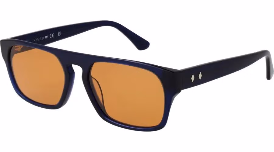 Web Blue Plastic Sunglasses