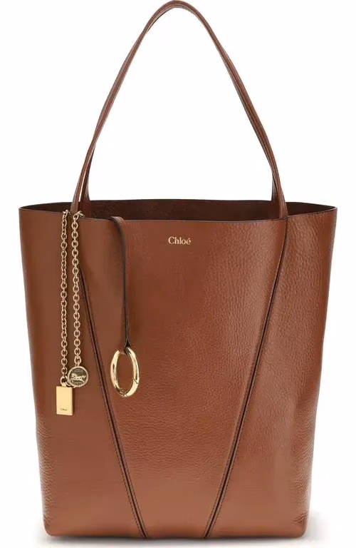 Chloé Brown Calf Leather Bos Taurus Shoulder Bag