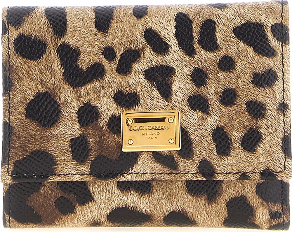 Dolce & Gabbana Multicolor Calfskin Cardholder