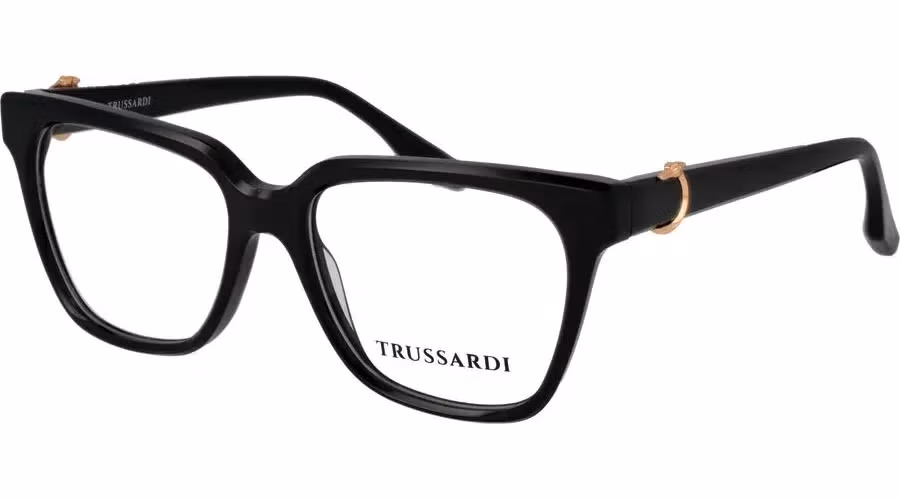 Trussardi Black Acetate Glasses (Frames)