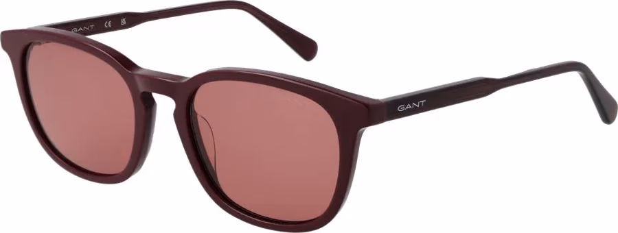 Gant Purple Acetate Sunglasses