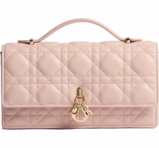 Dior Multicolor Leather Shoulder Bag