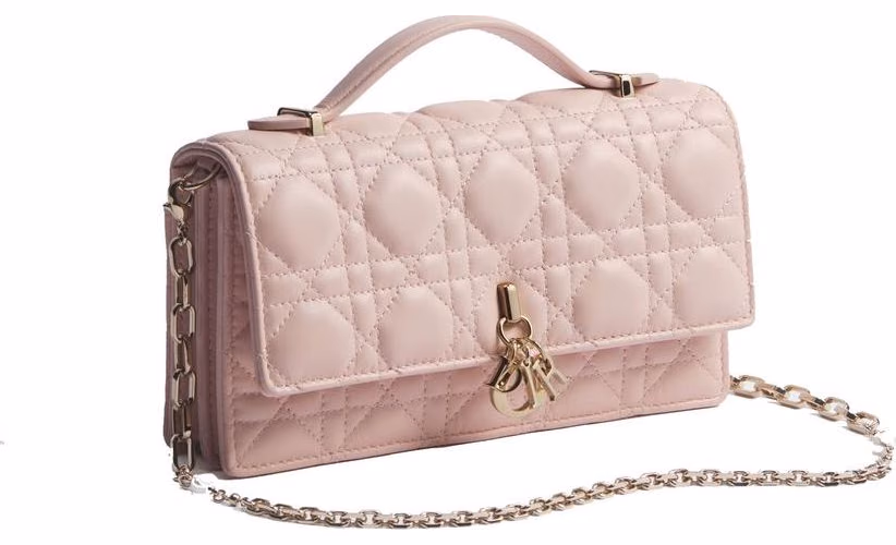 Dior Multicolor Leather Shoulder Bag