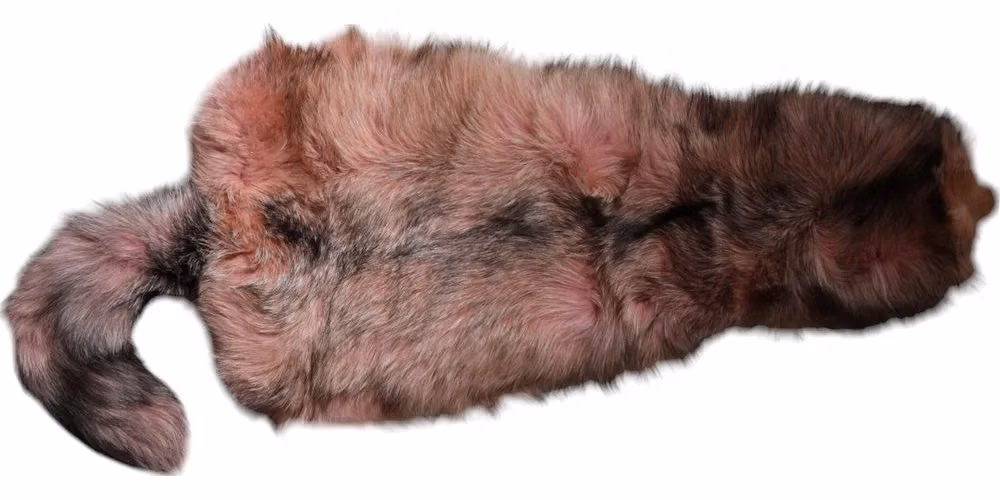 Dolce & Gabbana Pink Frost Fox Fur Neck Warmer Winter Scarf