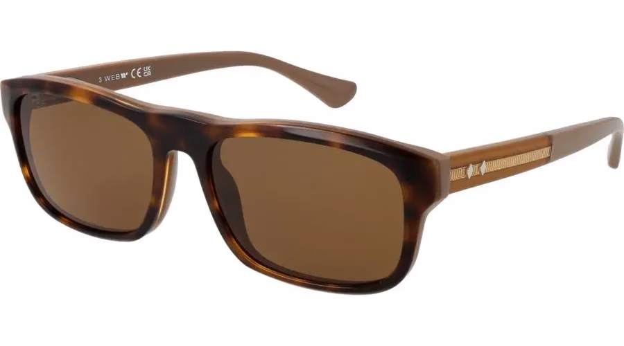 Web Brown Acetate Sunglasses