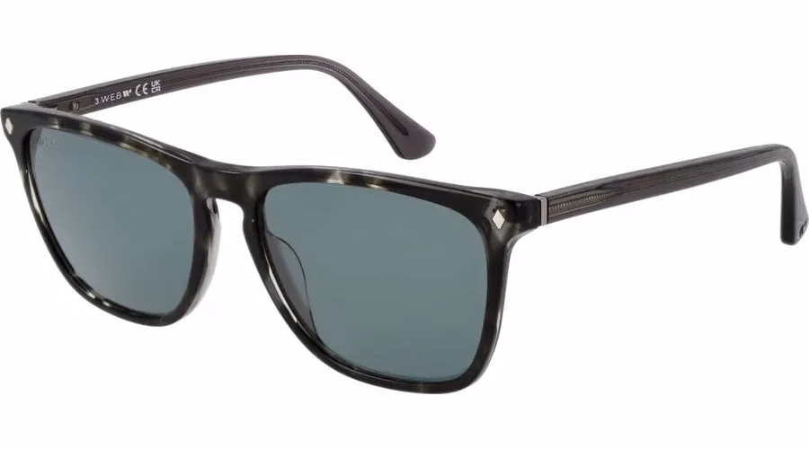 Web Black Acetate Sunglasses