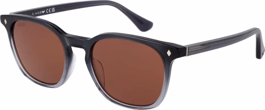 Web Gray Acetate Sunglasses