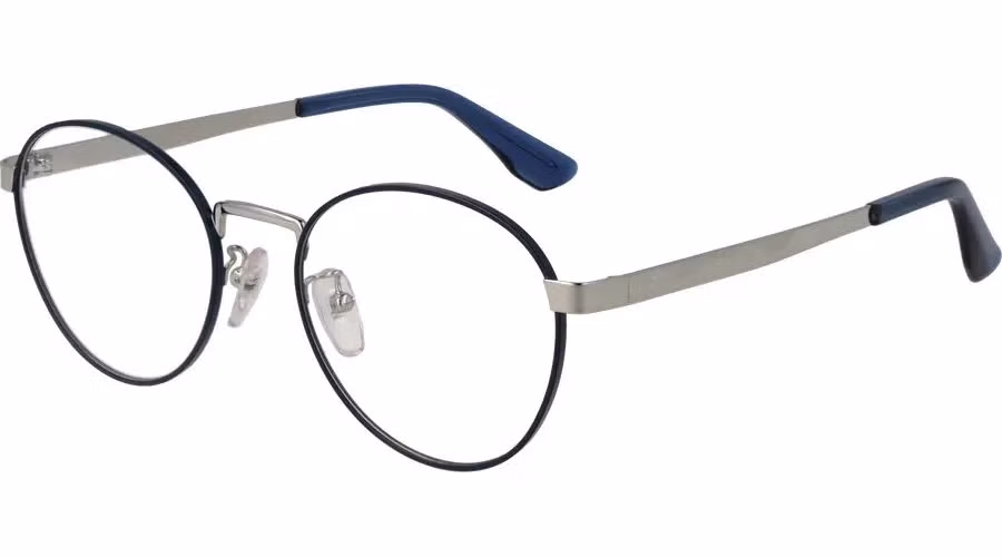 BMW Blue Metal Glasses (Frames)