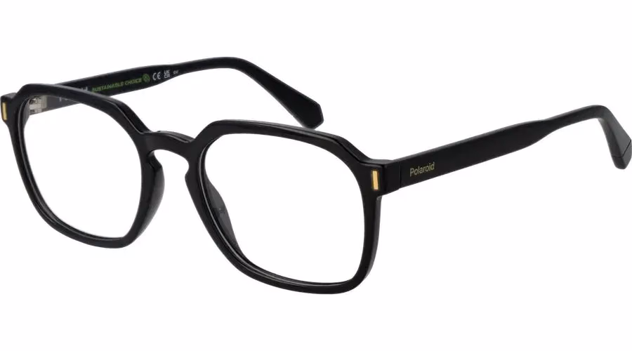 Polaroid Black Polyamide Glasses (Frames)