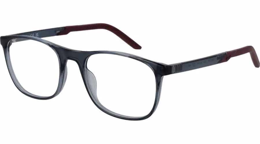 Nike Gray Stainless Steel Glasses (Frames)